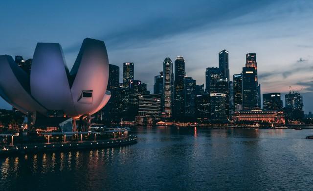 цифровая экономика сингапура