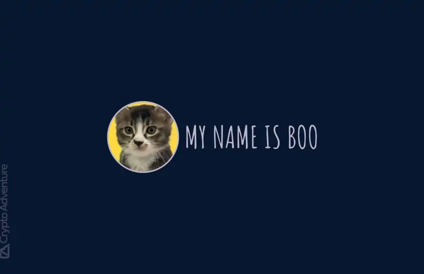 Представляем монету Boo The Cat